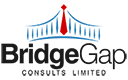 BridgeGap Consults